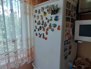Двухкомнатная квартира Даки Черемушки, Макеевка, ДНР