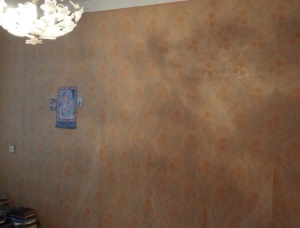 Продам! Новинка! 2  квартира Донецк, Киевский район, ул.Савченко. Крупногабаритная ., Донецк, ДНР